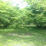 Продажа Участок Гябяля 11