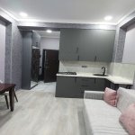 Kirayə (aylıq) 1 otaqlı Yeni Tikili, 20 Yanvar metrosu, 4-cü mikrorayon, Nəsimi rayonu 8