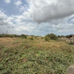 Продажа Участок, Новханы, Абшерон район 13