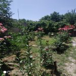 Satılır 5 otaqlı Həyət evi/villa Şamaxı 13