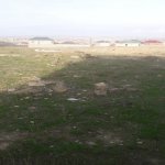 Satılır Torpaq, Masazır, Abşeron rayonu 6