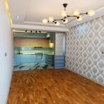 Kirayə (aylıq) 2 otaqlı Yeni Tikili, Nəriman Nərimanov metrosu, Nərimanov rayonu 2