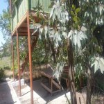 Satılır Torpaq, Novxanı, Abşeron rayonu 16