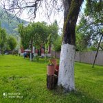 Посуточно 5 комнатная Дома/Виллы Гябяля 6