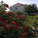 Satılır 8 otaqlı Həyət evi/villa Sumqayıt 1
