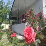 Kirayə (günlük) 3 otaqlı Həyət evi/villa Şəki 13