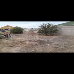 Satılır Torpaq, Saray, Abşeron rayonu 2