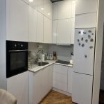 Kirayə (aylıq) 2 otaqlı Yeni Tikili, 8 Noyabr metrosu, Neptun supermarket Tbilisi, Nəsimi rayonu 4