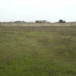 Продажа 4 комнат Дача, Горадиль, Абшерон район 14