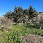 Satılır 5 otaqlı Bağ evi, Bilgəh qəs., Sabunçu rayonu 29