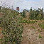 Продажа Участок, м. Короглу метро, пос. Нардаран, Сабунчу район 5