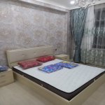 Kirayə (aylıq) 2 otaqlı Yeni Tikili, Nəriman Nərimanov metrosu, Nərimanov rayonu 4