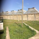 Satılır Torpaq, Masazır, Abşeron rayonu 3