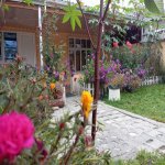 Kirayə (günlük) 2 otaqlı Həyət evi/villa Qusar 2