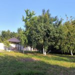Kirayə (günlük) 7 otaqlı Həyət evi/villa İsmayıllı 20