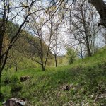 Satılır 3 otaqlı Həyət evi/villa İsmayıllı 41