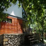 Kirayə (günlük) 3 otaqlı Bağ evi Qəbələ 13