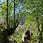 Kirayə (günlük) 3 otaqlı Həyət evi/villa Quba 19