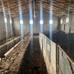 Продажа Объект, Перекюшкюль, AAAF PARK, Абшерон район 3