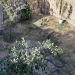 Satılır 7 otaqlı Həyət evi/villa, Saray, Abşeron rayonu 3