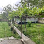 Kirayə (günlük) 4 otaqlı Həyət evi/villa Qəbələ 2