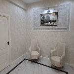 Kirayə (aylıq) 2 otaqlı Yeni Tikili, Nəriman Nərimanov metrosu, Heydər Əliyev Mərkəzi, Nərimanov rayonu 8