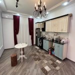 Kirayə (günlük) 6 otaqlı Həyət evi/villa, Bilgəh qəs., Sabunçu rayonu 8