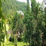Kirayə (günlük) 5 otaqlı Həyət evi/villa Qəbələ 16