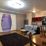 Kirayə (günlük) 3 otaqlı Yeni Tikili, Nəriman Nərimanov metrosu, Heydər Əliyev Mərkəzi, Nərimanov rayonu 5