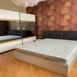 Kirayə (aylıq) 5 otaqlı Həyət evi/villa, Xətai metrosu, Montin qəs., Nərimanov rayonu 10