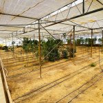 Продажа Объект, Туркян, Хязяр район 10