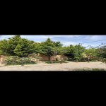 Продажа 4 комнатная Дома/Виллы, м. Короглу метро, пос. Савалан, Сабунчу район 6