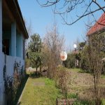 Satılır 6 otaqlı Həyət evi/villa Lənkəran 17