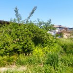 Продажа 5 комнатная Дома/Виллы Хачмаз 5