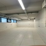Kirayə (aylıq) 12 otaqlı Ofis, Nərimanov rayonu 6