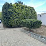 Kirayə (aylıq) 4 otaqlı Bağ evi, Gürgən, Xəzər rayonu 7