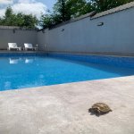 Kirayə (günlük) 4 otaqlı Həyət evi/villa Qəbələ 19