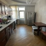 Kirayə (aylıq) 4 otaqlı Yeni Tikili, Nəriman Nərimanov metrosu, Nərimanov rayonu 11