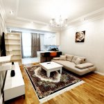 Kirayə (aylıq) 2 otaqlı Yeni Tikili, 28 May metrosu, Nəsimi rayonu 3
