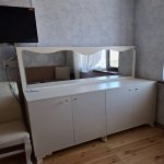 Kirayə (aylıq) 2 otaqlı Yeni Tikili, Nəriman Nərimanov metrosu, Nərimanov rayonu 2