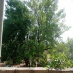 Satılır 4 otaqlı Həyət evi/villa Sumqayıt 13