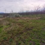 Satılır Torpaq Quba 4