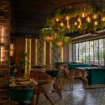 Аренда Объект, Насими район 3