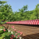 Kirayə (günlük) 3 otaqlı Həyət evi/villa İsmayıllı 8