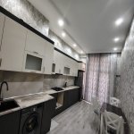 Kirayə (aylıq) 2 otaqlı Yeni Tikili, 28 May metrosu, Nəsimi rayonu 6