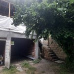Kirayə (günlük) 3 otaqlı Həyət evi/villa Qəbələ 16