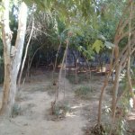 Satılır 3 otaqlı Həyət evi/villa, Zabrat qəs., Sabunçu rayonu 11