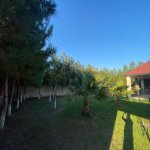 Kirayə (günlük) 3 otaqlı Bağ evi, Şüvəlan, Xəzər rayonu 22