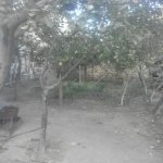 Satılır 7 otaqlı Həyət evi/villa, 16-ci mikrorayon rayonu 15