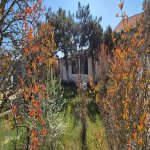 Satılır 3 otaqlı Həyət evi/villa, Şüvəlan, Xəzər rayonu 6